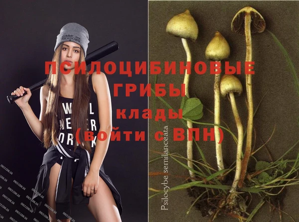 ECSTASY Белоозёрский