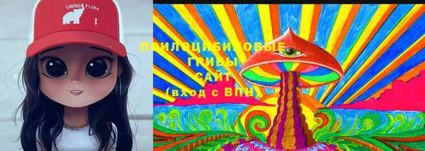 гидропоника Белокуриха