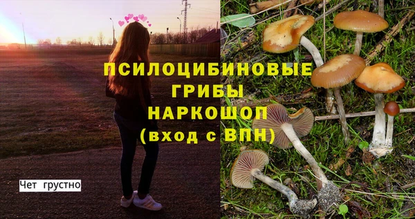 спиды Беломорск