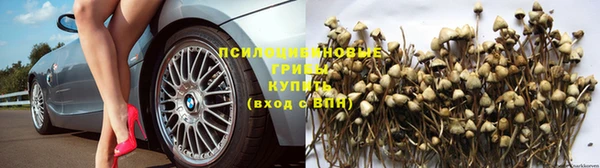 спиды Беломорск
